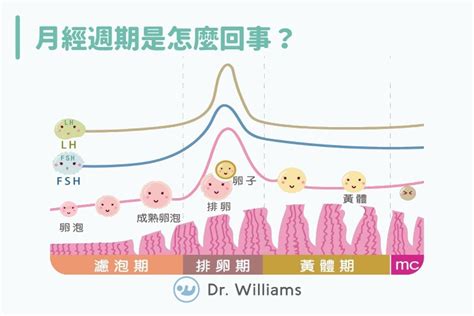 受孕時間|受孕時間怎麼算才準確呢？教你計算出月經週期中最佳的受孕時間。